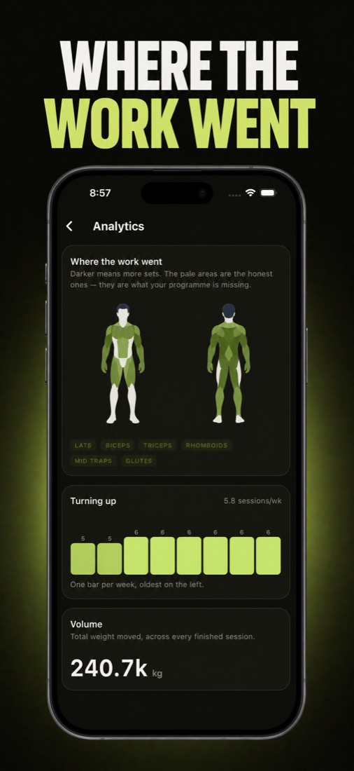 A muscle map in RepDay showing where the week's sets went.